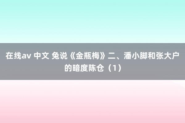 在线av 中文 兔说《金瓶梅》二、潘小脚和张大户的暗度陈仓（1）