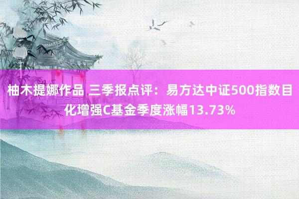 柚木提娜作品 三季报点评：易方达中证500指数目化增强C基金季度涨幅13.73%
