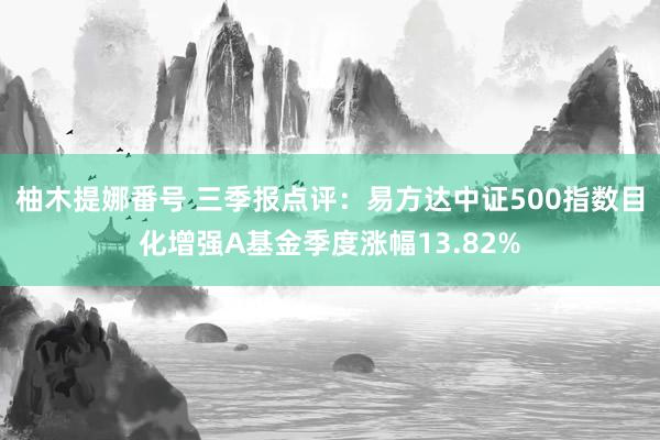 柚木提娜番号 三季报点评：易方达中证500指数目化增强A基金季度涨幅13.82%