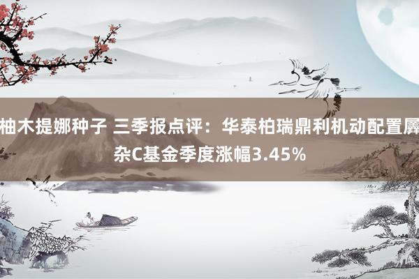 柚木提娜种子 三季报点评：华泰柏瑞鼎利机动配置羼杂C基金季度涨幅3.45%