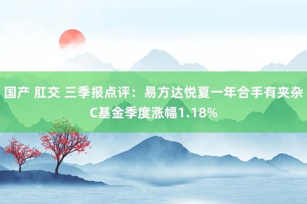 国产 肛交 三季报点评：易方达悦夏一年合手有夹杂C基金季度涨幅1.18%