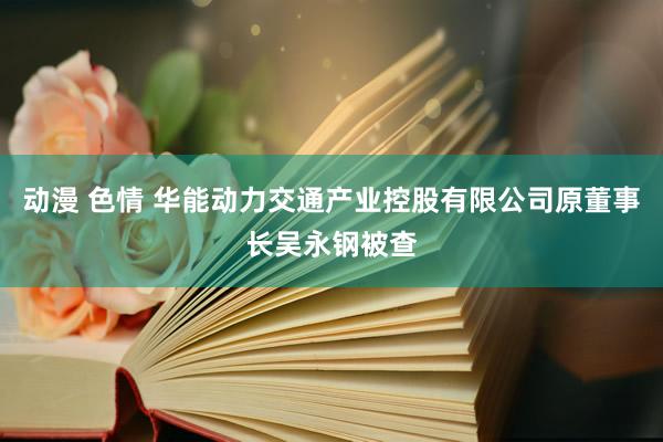动漫 色情 华能动力交通产业控股有限公司原董事长吴永钢被查