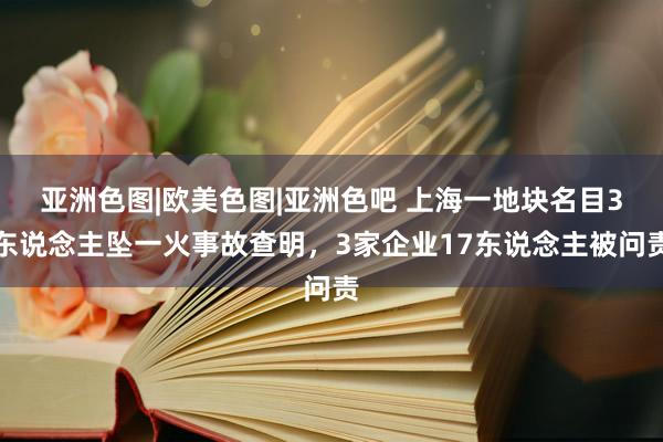 亚洲色图|欧美色图|亚洲色吧 上海一地块名目3东说念主坠一火事故查明，3家企业17东说念主被问责