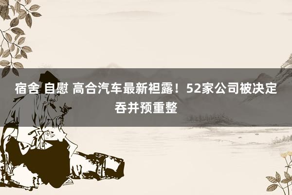 宿舍 自慰 高合汽车最新袒露！52家公司被决定吞并预重整