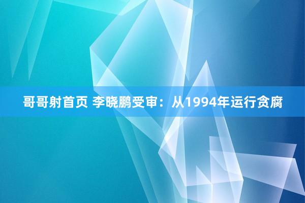哥哥射首页 李晓鹏受审：从1994年运行贪腐