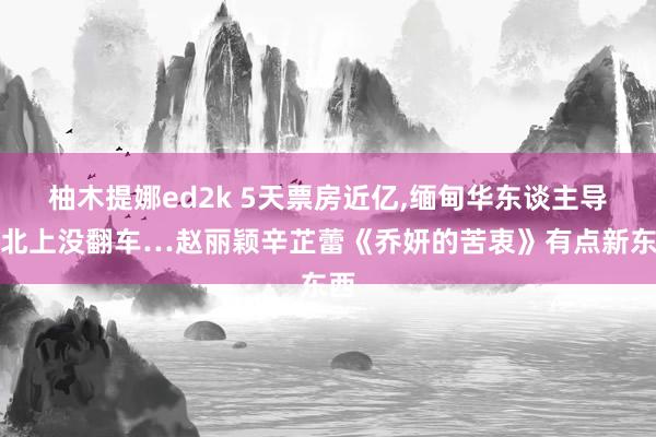 柚木提娜ed2k 5天票房近亿,缅甸华东谈主导演北上没翻车…赵丽颖辛芷蕾《乔妍的苦衷》有点新东西