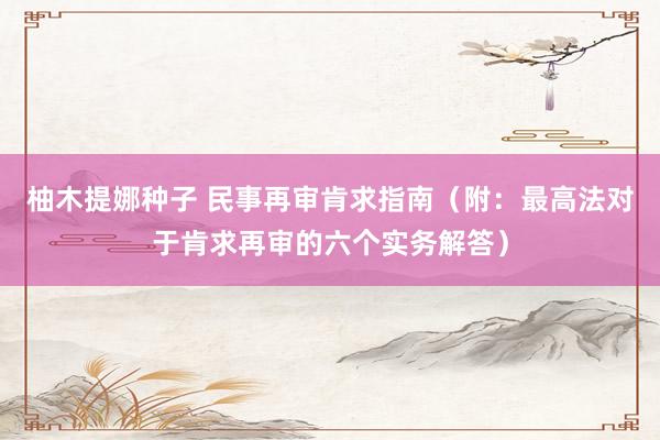 柚木提娜种子 民事再审肯求指南（附：最高法对于肯求再审的六个实务解答）