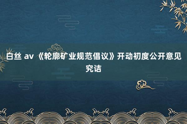 白丝 av 《轮廓矿业规范倡议》开动初度公开意见究诘
