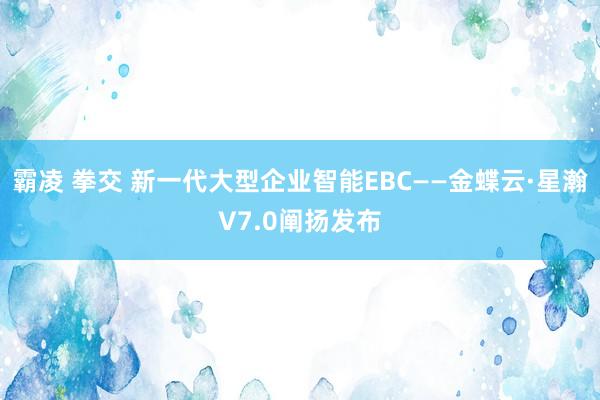霸凌 拳交 新一代大型企业智能EBC——金蝶云·星瀚V7.0阐扬发布