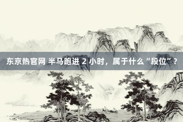 东京热官网 半马跑进 2 小时，属于什么“段位”？
