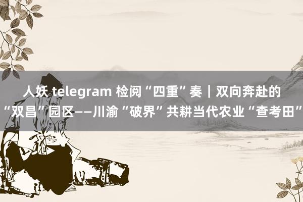 人妖 telegram 检阅“四重”奏｜双向奔赴的“双昌”园区——川渝“破界”共耕当代农业“查考田”