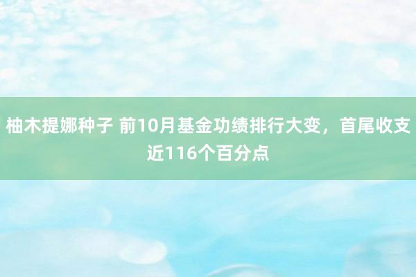 柚木提娜种子 前10月基金功绩排行大变，首尾收支近116个百分点