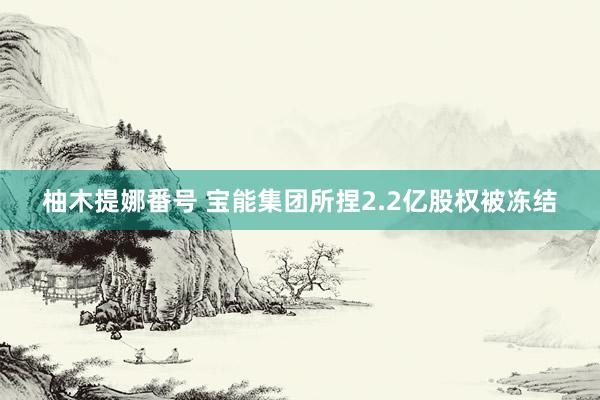 柚木提娜番号 宝能集团所捏2.2亿股权被冻结