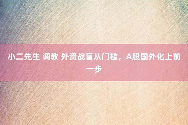 小二先生 调教 外资战盲从门槛，A股国外化上前一步