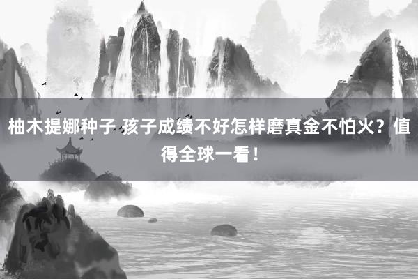 柚木提娜种子 孩子成绩不好怎样磨真金不怕火？值得全球一看！