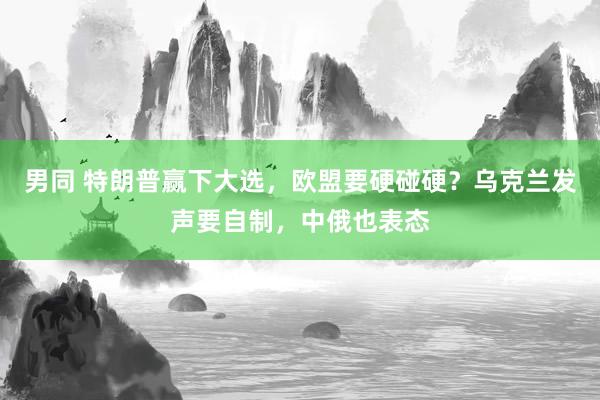 男同 特朗普赢下大选，欧盟要硬碰硬？乌克兰发声要自制，中俄也表态
