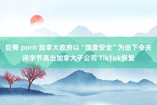 巨臀 porn 加拿大政府以“国度安全”为由下令关闭字节高出加拿大子公司 TikTok恢复