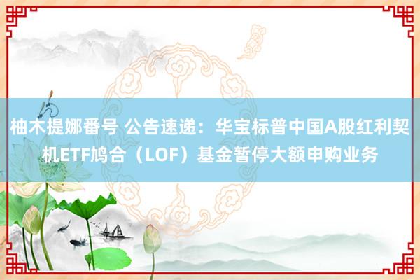 柚木提娜番号 公告速递：华宝标普中国A股红利契机ETF鸠合（LOF）基金暂停大额申购业务