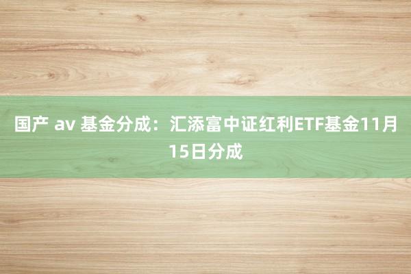 国产 av 基金分成：汇添富中证红利ETF基金11月15日分成
