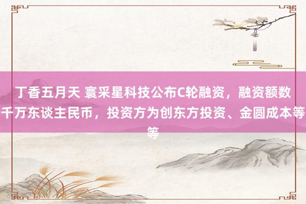 丁香五月天 寰采星科技公布C轮融资，融资额数千万东谈主民币，投资方为创东方投资、金圆成本等