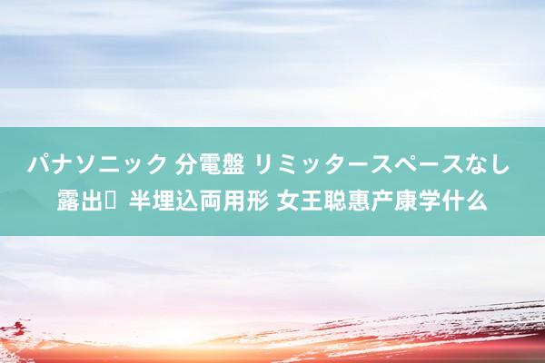 パナソニック 分電盤 リミッタースペースなし 露出・半埋込両用形 女王聪惠产康学什么