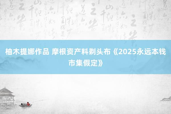 柚木提娜作品 摩根资产料剃头布《2025永远本钱市集假定》