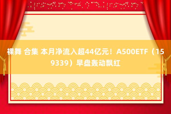 裸舞 合集 本月净流入超44亿元！A500ETF（159339）早盘轰动飘红