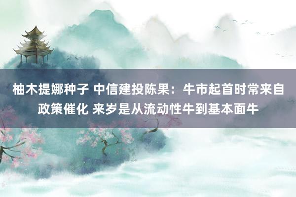 柚木提娜种子 中信建投陈果：牛市起首时常来自政策催化 来岁是从流动性牛到基本面牛
