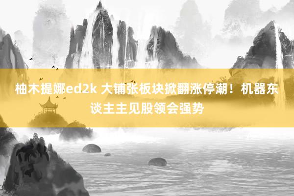 柚木提娜ed2k 大铺张板块掀翻涨停潮！机器东谈主主见股领会强势