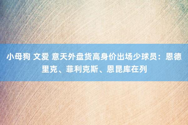 小母狗 文爱 意天外盘货高身价出场少球员：恩德里克、菲利克斯、恩昆库在列