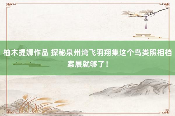 柚木提娜作品 探秘泉州湾飞羽翔集这个鸟类照相档案展就够了！