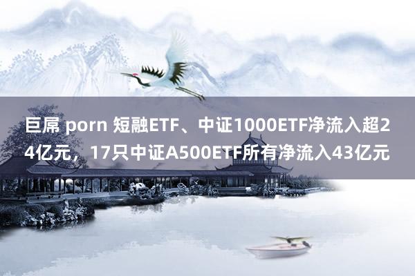 巨屌 porn 短融ETF、中证1000ETF净流入超24亿元，17只中证A500ETF所有净流入43亿元
