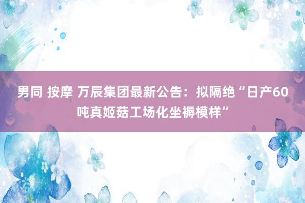 男同 按摩 万辰集团最新公告：拟隔绝“日产60吨真姬菇工场化坐褥模样”