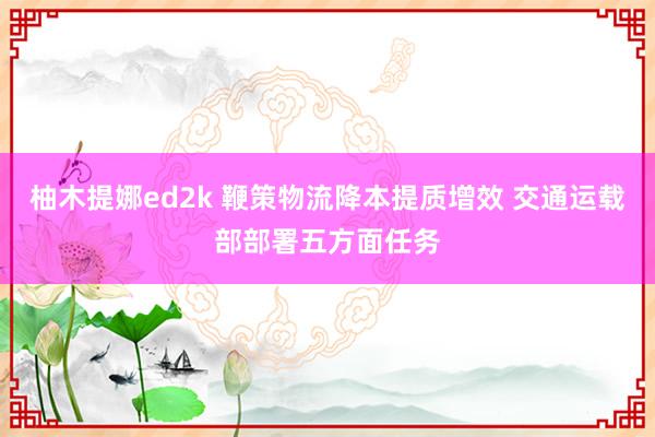 柚木提娜ed2k 鞭策物流降本提质增效 交通运载部部署五方面任务