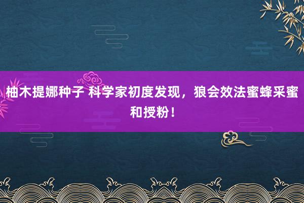 柚木提娜种子 科学家初度发现，狼会效法蜜蜂采蜜和授粉！