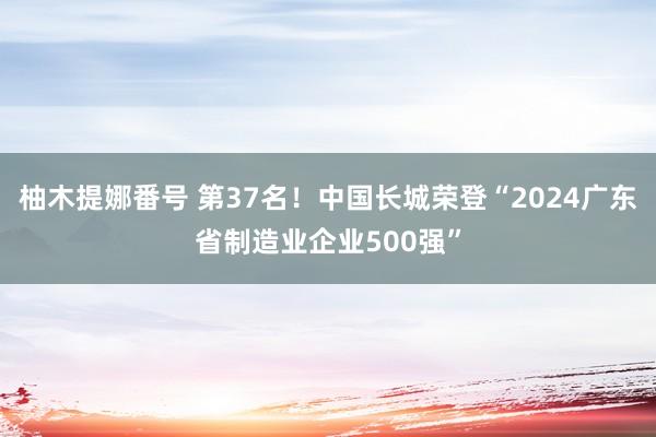 柚木提娜番号 第37名！中国长城荣登“2024广东省制造业企业500强”