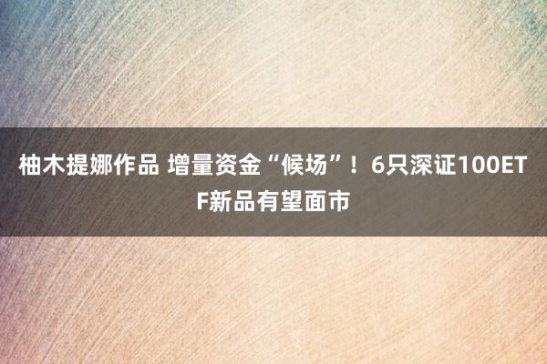 柚木提娜作品 增量资金“候场”！6只深证100ETF新品有望面市