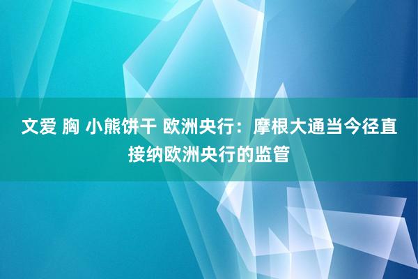 文爱 胸 小熊饼干 欧洲央行：摩根大通当今径直接纳欧洲央行的监管