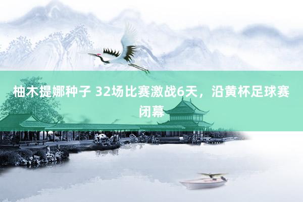柚木提娜种子 32场比赛激战6天，沿黄杯足球赛闭幕