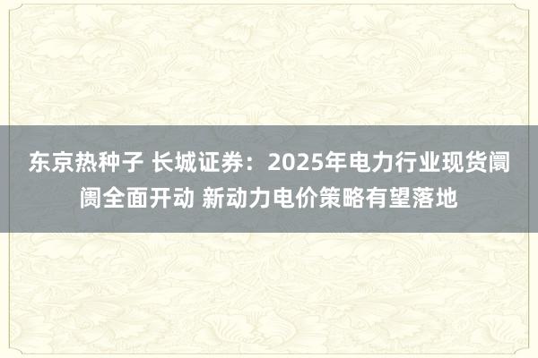 东京热种子 长城证券：2025年电力行业现货阛阓全面开动 新动力电价策略有望落地