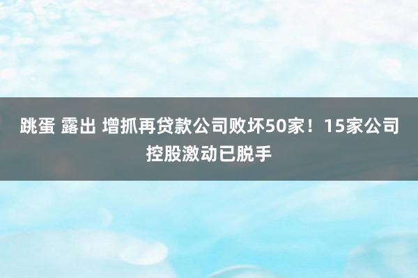 跳蛋 露出 增抓再贷款公司败坏50家！15家公司控股激动已脱手