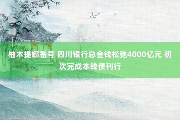 柚木提娜番号 四川银行总金钱松弛4000亿元 初次完成本钱债刊行