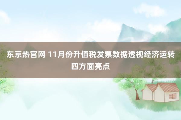 东京热官网 11月份升值税发票数据透视经济运转四方面亮点