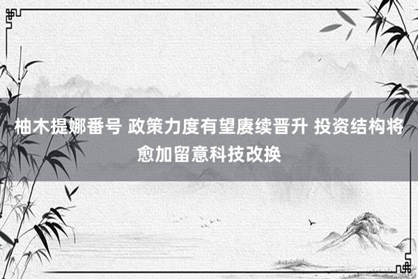 柚木提娜番号 政策力度有望赓续晋升 投资结构将愈加留意科技改换