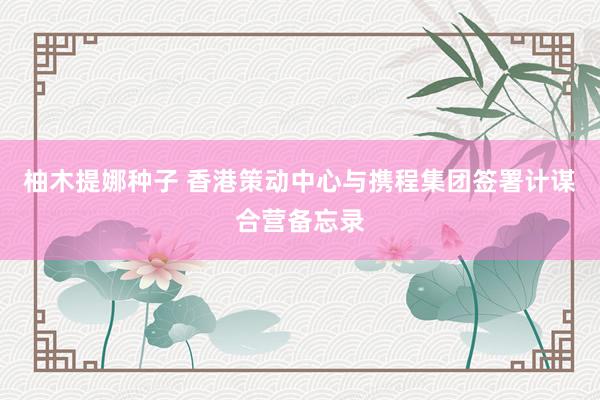 柚木提娜种子 香港策动中心与携程集团签署计谋合营备忘录