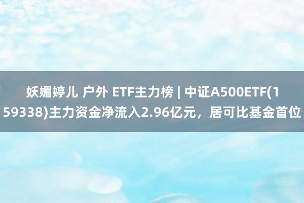 妖媚婷儿 户外 ETF主力榜 | 中证A500ETF(159338)主力资金净流入2.96亿元，居可比基金首位