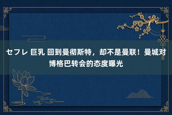 セフレ 巨乳 回到曼彻斯特，却不是曼联！曼城对博格巴转会的态度曝光