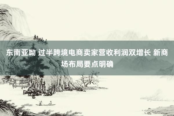 东南亚呦 过半跨境电商卖家营收利润双增长 新商场布局要点明确