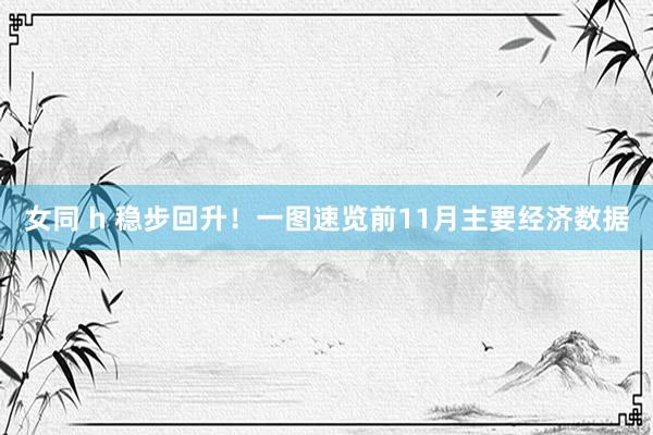 女同 h 稳步回升！一图速览前11月主要经济数据