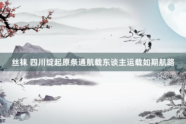 丝袜 四川绽起原条通航载东谈主运载如期航路